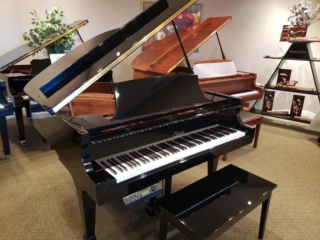 Boston Baby Grand by Steinway